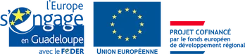 Fédération de l'union Européenne