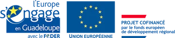 Fédération de l'union Européenne